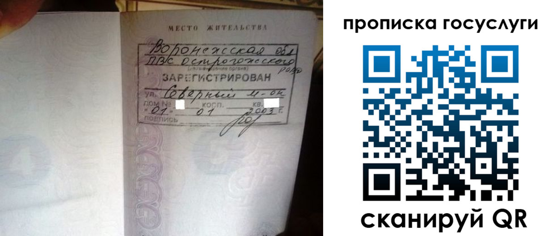 прописка законно в Каменке